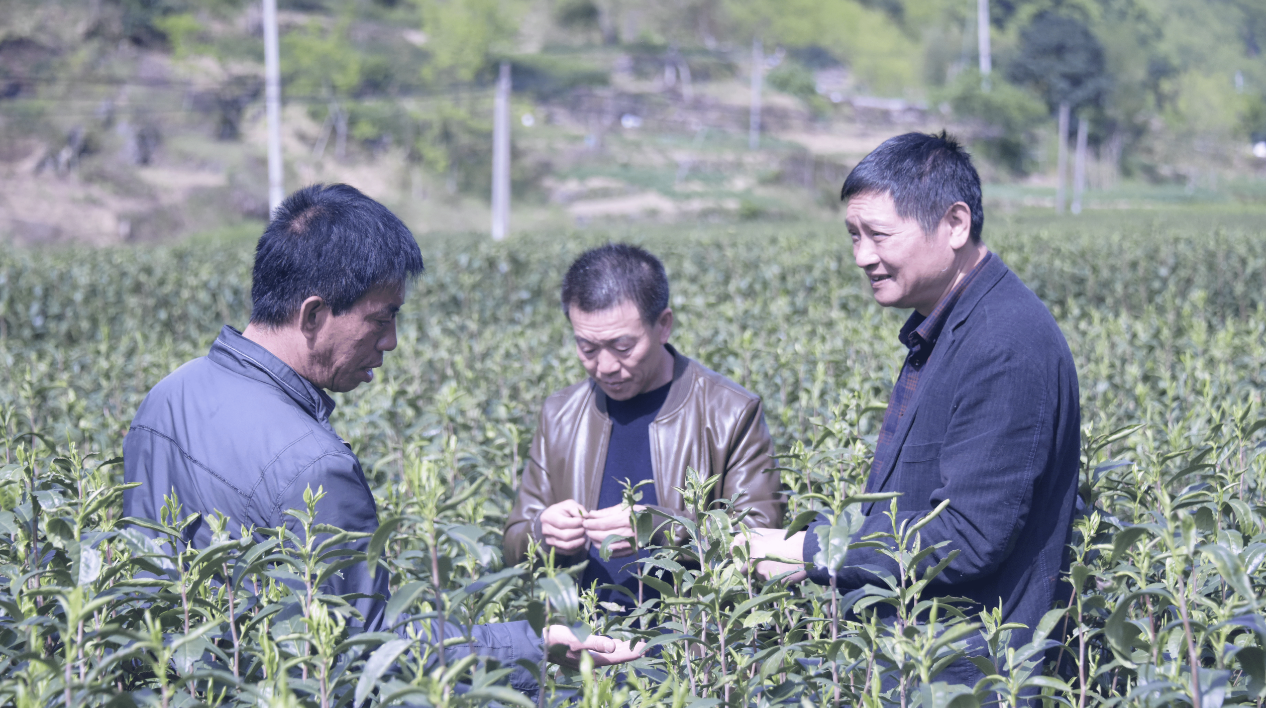Vốn của Hàng Châu